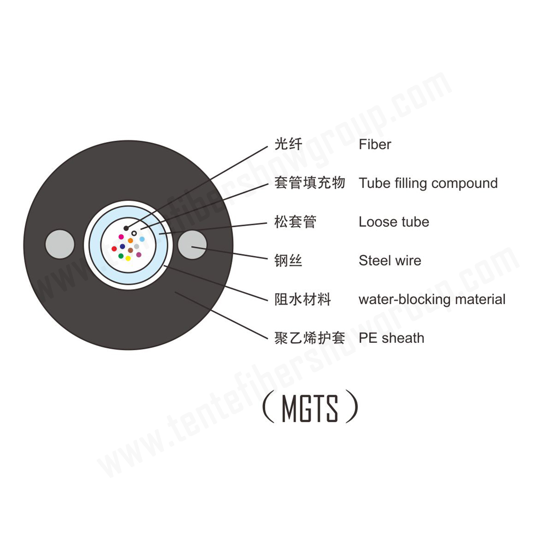 3-2 （MGTS） 副本.jpg